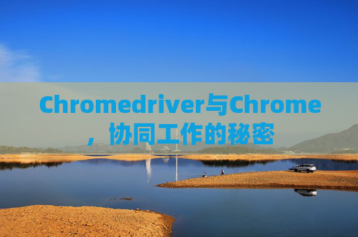 Chromedriver与Chrome，协同工作的秘密