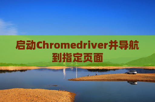 启动Chromedriver并导航到指定页面